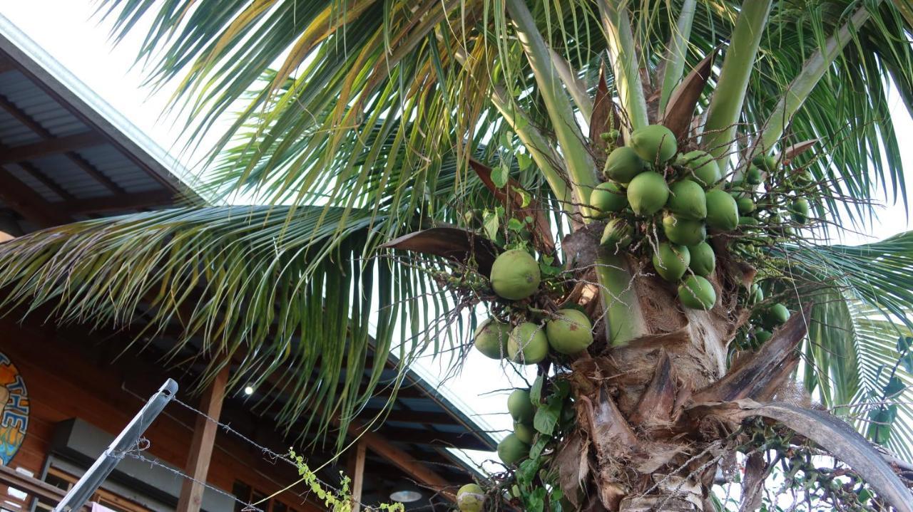 The Bocas Corner Hotel Bocas del Toro Buitenkant foto